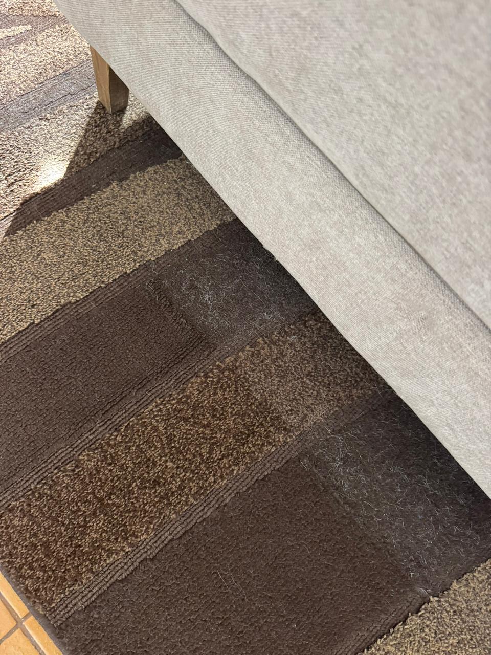 Limpieza de alfombras